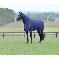 Produktbild von Weatherbeeta Comfitec Essential Turnout Combo 360g Pferdedecke aus Polyester