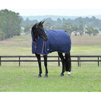 Produktbild von Weatherbeeta Comfitec Essential Turnout Combo 360g Pferdedecke aus Polyester