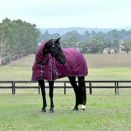 Produktbild von Weatherbeeta Comfitec Essential Turnout Combo Pferdedecke aus Polyester 160