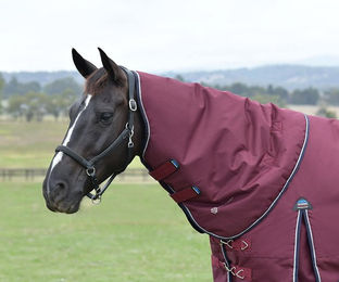 Weatherbeeta Comfitec Essential Turnout Neck Cover Pferdedecke 0g Größe L – Bild 1 von 1