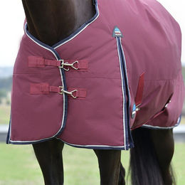 Produktbild von Weatherbeeta Comfitec Essential Turnout Pferdedecke mit 50g Füllung aus Polyester