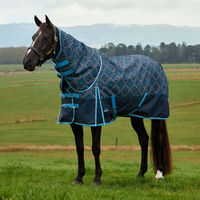 Produktbild von WeatherBeeta Comfitec Heritage Turnout Detach-A-Neck Weidedecke für Pferde Größe 145 mit 220g Füllung