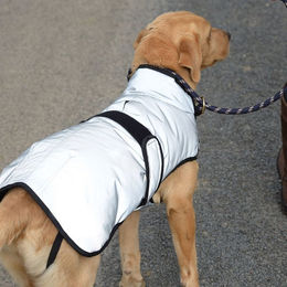 Weatherbeeta Comfitec Hundemantel Silber Medium wasserabweisend – Bild 1 von 6