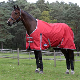Weatherbeeta Comfitec Klassische Standard-Pferdedecke leicht Rot Silber Navy – Bild 1 von 4