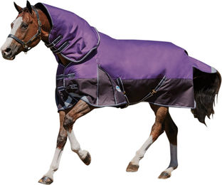 WeatherBeeta Comfitec Lite Plus Dynamic Detach-A-Neck Weidedecke WB383 Violett Schwarz 90cm – Bild 1 von 1