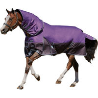 Produktbild von WeatherBeeta Comfitec Lite Plus Dynamic Detach-A-Neck Weidedecke WB383 Violett Schwarz 90cm