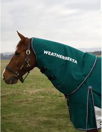 Weatherbeeta Comfitec Plus Dynamic 0g Halsdecke für Pferde in XL – Bild 1 von 4
