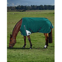 Produktbild von Weatherbeeta Comfitec Plus Dynamic 0g Outdoor-Pferdedecke mit Memory Foam in Grün 120 cm