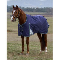 Produktbild von Weatherbeeta Comfitec Plus Dynamic 220g Outdoor-Pferdedecke aus Polyester