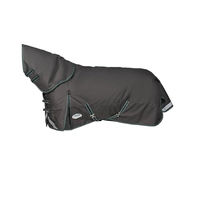 Produktbild von WeatherBeeta ComFiTec Plus Dynamic II Detach-A-Neck Pferdedecke mit Memory Foam in Grau Grün Weiß Medium