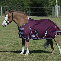Weatherbeeta ComFiTec Plus Dynamic II Standard Neck Pferdedecke Medium in Maroon Grau Weiß - 155 g – Bild 1 von 5