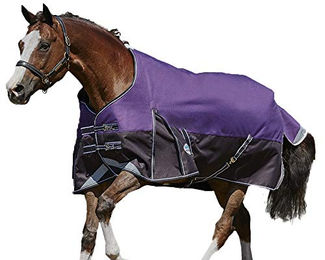 WeatherBeeta ComFiTec Plus Dynamic Lite Standard Neck Pferdedecke aus Oxford-Gewebe Lila Schwarz 5ft – Bild 1 von 2