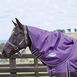 Produktbild von Weatherbeeta Comfitec Plus Dynamic Neck Cover Pony Lila Schwarz
