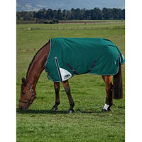 Produktbild von Weatherbeeta Comfitec Plus Dynamic Outdoor-Pferdedecke mit 220g Füllung