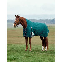 Produktbild von Weatherbeeta Comfitec Plus Dynamic Outdoor-Pferdedecke mit hohem Kragen 220g
