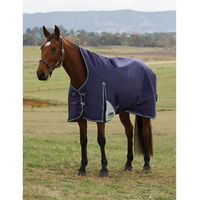 Produktbild von Weatherbeeta Comfitec Plus Dynamic Outdoor-Pferdedecke mit Memory Foam 100g Blau oder Grün 125 cm