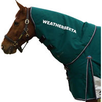 Produktbild von WeatherBeeta Comfitec Plus Dynamic Pferdehalsdecke für Warmblut Tannengrün