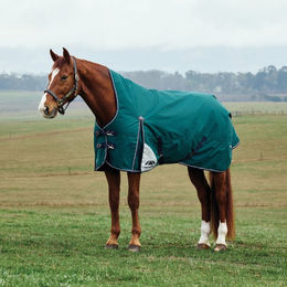 WeatherBeeta Comfitec Plus Dynamic Turnout High Neck 0g Weidedecke für Pferde Größe 155 Forest Green/Navy – Bild 1 von 1