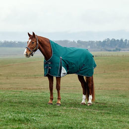 Weatherbeeta Comfitec Plus Dynamic Turnout High Neck Pferdedecke mit 100g Füllung – Bild 1 von 7