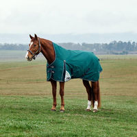 Produktbild von Weatherbeeta Comfitec Plus Dynamic Turnout High Neck Pferdedecke mit 220g Füllung