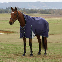 Produktbild von WeatherBeeta Comfitec Plus Dynamic Turnout High Neck Weidedecke für Pferde Größe 140 Navy/Forest Green