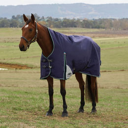 WeatherBeeta Comfitec Plus Dynamic Turnout High Neck Weidedecke für Pferde Größe 155 Navy/Forest Green – Bild 1 von 1