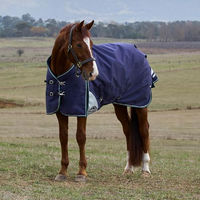 Produktbild von WeatherBeeta Comfitec Plus Dynamic Turnout Pferdedecke 0g Navy