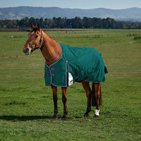 Produktbild von Weatherbeeta Comfitec Plus Dynamic Turnout Pferdedecke mit 100g Füllung