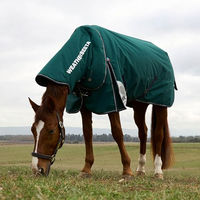 Produktbild von WeatherBeeta Comfitec Plus Dynamic Turnout Pferdedecke mit abnehmbarer Halskrause 220g Forest Green