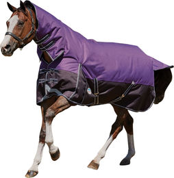 WeatherBeeta Comfitec Plus Lite Dynamic Combo Pferdedecke mit Hals WB600 Violett Schwarz 75 cm – Bild 1 von 1