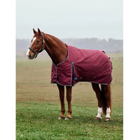Produktbild von Weatherbeeta Comfitec Prelim 220g Outdoor-Pferdedecke aus Polyester 115 cm