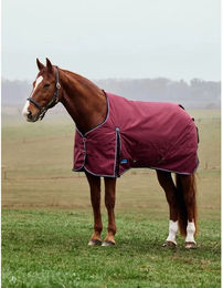 Weatherbeeta Comfitec Prelim Turnout 0g Outdoor-Pferdedecke aus Polyester in Rot/Burgundy/Navy 150 cm – Bild 1 von 7