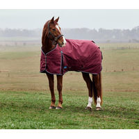 Produktbild von Weatherbeeta Comfitec Prelim Turnout 0g Pferdedecke aus Polyester Burgundy/Navy