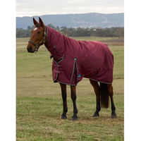 Produktbild von Weatherbeeta Comfitec Prelim Turnout Combo 220g Outdoor-Pferdedecke aus Polyester