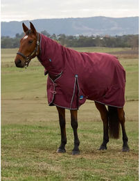 Weatherbeeta Comfitec Prelim Turnout Combo 220g Outdoor-Pferdedecke aus Polyester in Burgundy/Navy – Bild 1 von 11