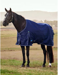 Weatherbeeta Comfitec Prelim Turnout Outdoor-Pferdedecke mit 220g Füllung in Blau – Bild 1 von 11