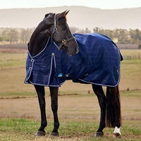 Produktbild von WeatherBeeta Comfitec Prelim Turnout Pferdedecke Blau 220g