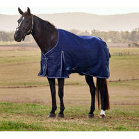 Produktbild von WeatherBeeta Comfitec Prelim Turnout Weidedecke 100g Größe 160