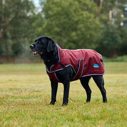 Weatherbeeta Comfitec Premier Deluxe Hundemantel wasserdicht Blau – Bild 1 von 10