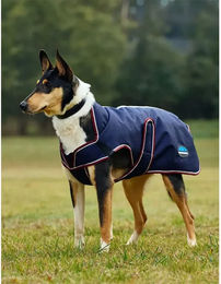 Weatherbeeta Comfitec Premier Deluxe Hundemantel wasserdicht Blau 40cm – Bild 1 von 8