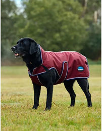 Weatherbeeta Comfitec Premier Deluxe Hundemantel wasserdicht Polyester 40 cm – Bild 1 von 11