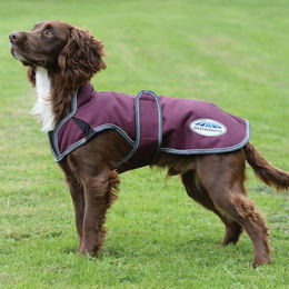Produktbild von Weatherbeeta Comfitec Premier Free Parka Deluxe Hundemantel Waterproof Medium