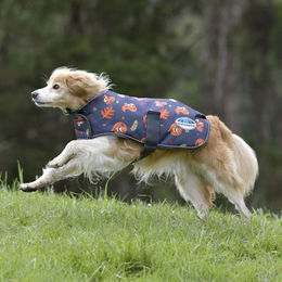 Weatherbeeta Comfitec Premier Free Parka Hundemantel wasserdicht Medium – Bild 1 von 1