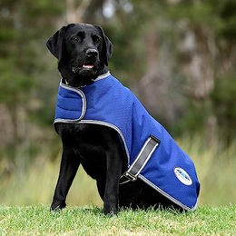 Weatherbeeta Comfitec Premier Free Parka Hundemantel wasserdicht Nylon Blau Grau Weiß Größe M – Bild 1 von 5