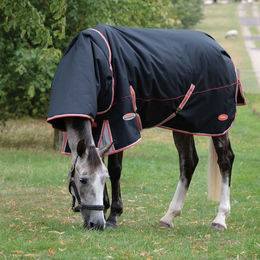 WeatherBeeta Comfitec Premier Therapy Tec Turnout Rug mit Detach-A-Neck für Pferde Medium Schwarz Rot Silber – Bild 1 von 4