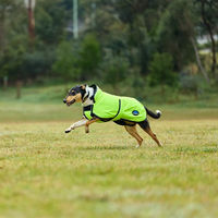 Produktbild von WeatherBeeta Comfitec Reflective 300D Deluxe Hundemantel Gelb Größe 80