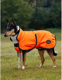 WeatherBeeta Comfitec Reflective Deluxe Hundemantel Spritzwasserdicht Orange – Bild 1 von 6