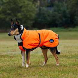 WeatherBeeta Comfitec Reflective Deluxe Hundemantel wasserabweisend aus 300D Polyester – Bild 1 von 11