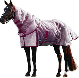 Produktbild von WeatherBeeta Comfitec Ripshield Fly Sheet Detach-A-Neck Pferdedecke aus Polyester