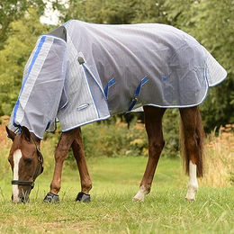 Weatherbeeta Comfitec Ripshield Plus Combo-Kragen Pferdedecke Weiß/Blau 168cm – Bild 1 von 5